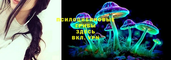 прущая мука Алексеевка
