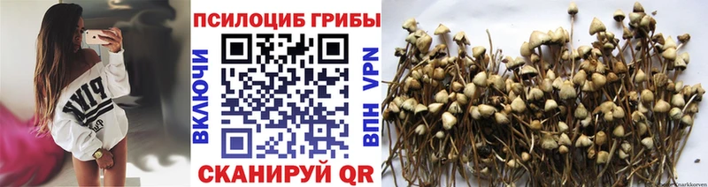 KRAKEN сайт  Нурлат  Галлюциногенные грибы Psilocybe 