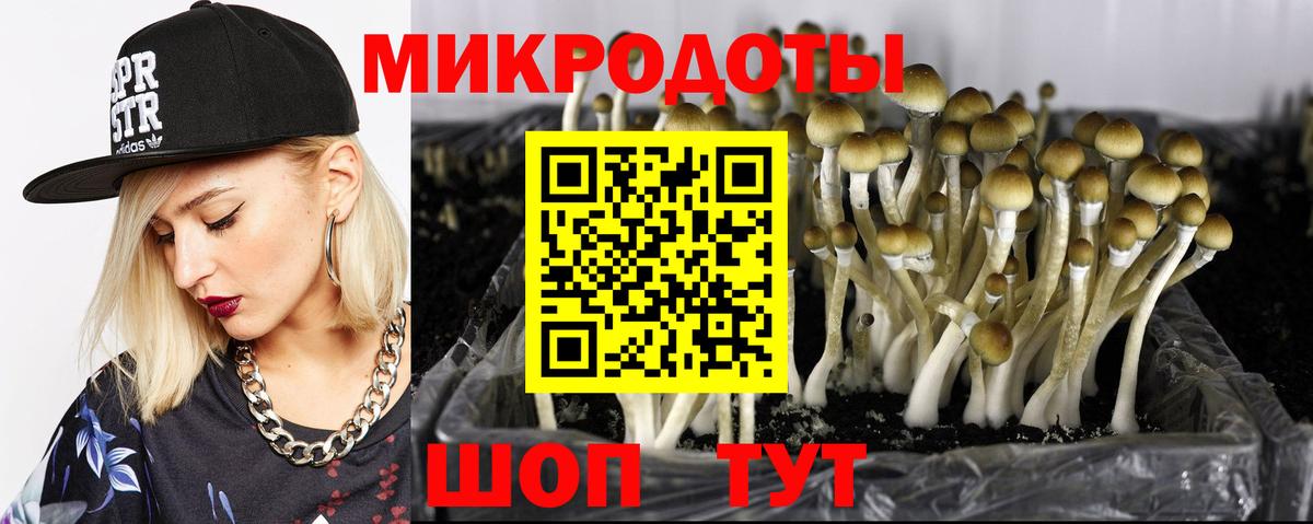 Псилоцибиновые грибы Magic Shrooms Нурлат